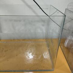 450 曲げ水槽 本体の画像