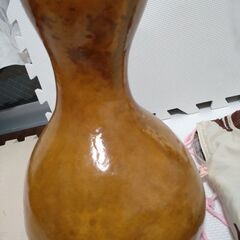 イプ　フラダンスの画像