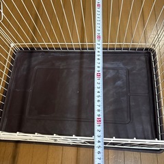 決まりました。の画像