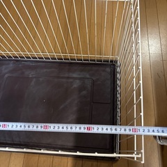 決まりました。の画像