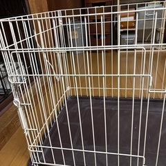 決まりました。の画像