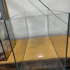 600 水槽 エーハイム 美品の画像
