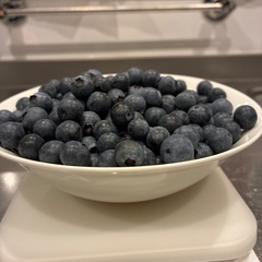 生ブルーベリー300g 採れたて！（無農薬家庭菜園）の画像