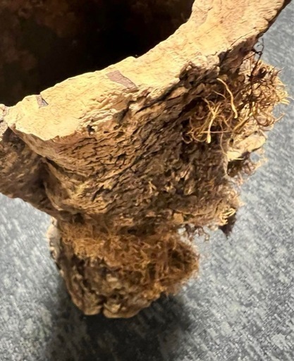 コルク　原木　皮　樹皮　筒状　爬虫類　ディスプレー