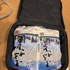 大きいバック　米はつきません。の画像