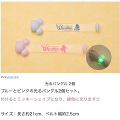 バケーションパッケージ　グッズ　の画像