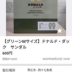 お取引中【グリーンＬサイズMサイズ】ドナルド・ダック　サンダル、スマホプロジェクターの画像