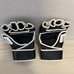 格闘技　MMA グローブ　VENUMの画像