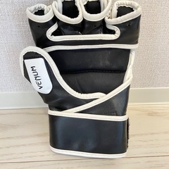 格闘技　MMA グローブ　VENUMの画像