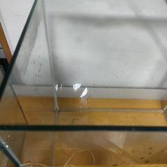 ADA  450 ハイ水槽 本体の画像