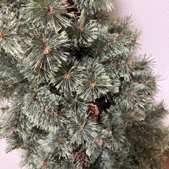 クリスマスツリー
の画像