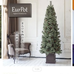 クリスマスツリー
の画像