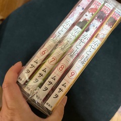 恋と嘘  レンタル落ちの画像