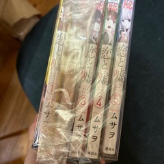 恋と嘘  レンタル落ちの画像