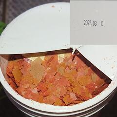 ★水槽の装飾品などなど★の画像