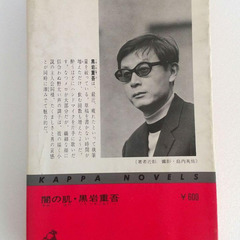 黒岩重吾　『闇の肌』1972年発行　光文社　ヴィンテージ本の画像