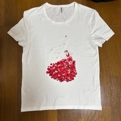 【新品】Tシャツ計14枚まとめ売り・デザイン2種、レデースM、L、XL、2XL、3XL 半袖の画像