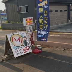 柏崎めだか無人販売所がオープンしました😊