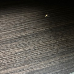 食器棚の画像
