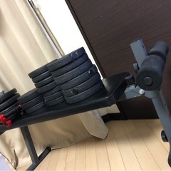 可変式 バーベル ダンベルセット 筋トレ ダンベルセット 腹筋 の画像