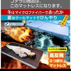 特殊 高反発三つ折りマットレス3枚付) 【耐荷重500kg】収納式 3段ベッド 三段ベッド アイアン 大人用 耐震 コンパクト | 三段ベット 3段ベット 親子ベッド スライド ロータイプ おしゃれ マットレス付き ガイアGAIAの画像