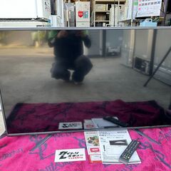 【動作保証あり】ティーズネットワーク 2018年 LE-5040TSⅡ 50V型 液晶テレビ【管理KRT259】の画像