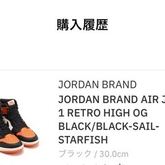 新品　Nike Jordan1 Shattered Backboard 2025の画像