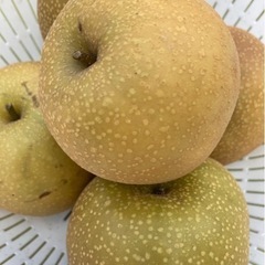 梨　なし　幸水　わけあり　規格外の画像