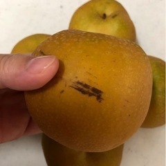 梨　なし　幸水　わけあり　規格外の画像
