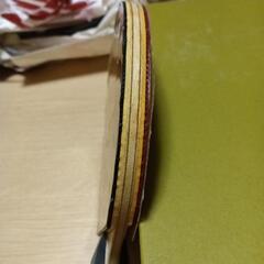 TSP卓球ラケットとケース付きの画像