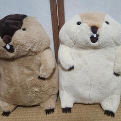 マーモット　もっとっと　ぬいぐるみ　セットの画像
