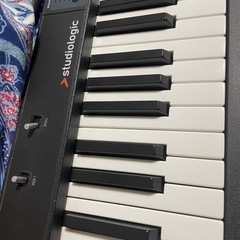 StudioLogic Numa Compact 2の画像
