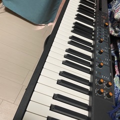 StudioLogic Numa Compact 2の画像