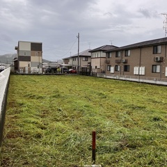簡単な草刈り手伝います