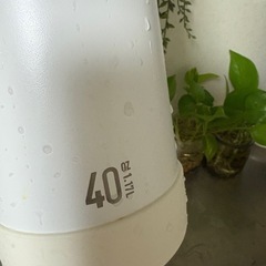 ステンレス水筒1.17ℓの画像
