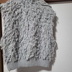 JEANASIS　ダブルジップジレの画像