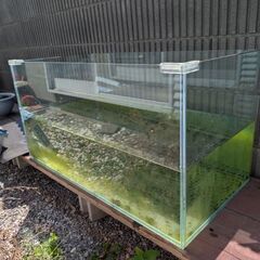 水槽の画像