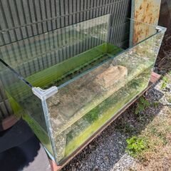 水槽の画像
