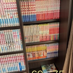 中古漫画(マンガ) 大量出品約2500冊(ワンピース.ハンターハンター.ちはやふる.キングダム.宇宙兄弟.花より男子.君に届け.七つの大罪.デスノート.ベルセルク.3月のライオン.カイジ.ワンナウツ.スラムダンク.柔道部物語.アオハライド.彼岸島.20世紀少年.テラフォーマーズ.新宿スワン・銀と金・カイジ　他多数)の画像