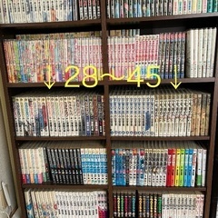 中古漫画(マンガ) 大量出品約2500冊(ワンピース.ハンターハンター.ちはやふる.キングダム.宇宙兄弟.花より男子.君に届け.七つの大罪.デスノート.ベルセルク.3月のライオン.カイジ.ワンナウツ.スラムダンク.柔道部物語.アオハライド.彼岸島.20世紀少年.テラフォーマーズ.新宿スワン・銀と金・カイジ　他多数)の画像
