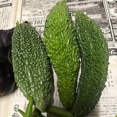 野菜の画像