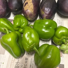野菜の画像