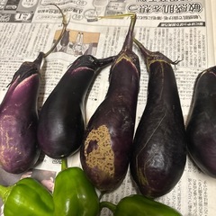 野菜の画像