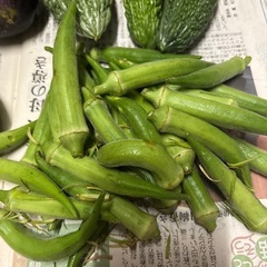 野菜の画像