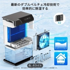 コンパクト除湿機(ダブルペルチェ式/リモコン付)の画像