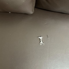 ソファの画像