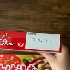 カレールーの画像