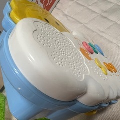 プーメリーの画像