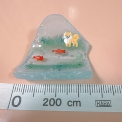 シーグラス:ニコニコな犬の画像