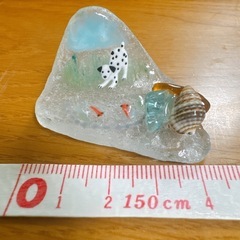 シーグラス:犬と魚の画像
